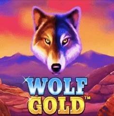 Wolf Gold Pragmaticplay Spielautomat bei Boho Casino